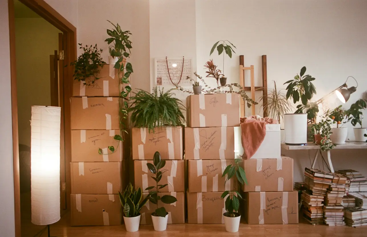 prime-bright-cleaning-moving-in-moving-out-cleaning3